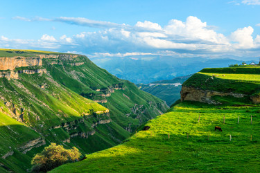 Similar image 22274007