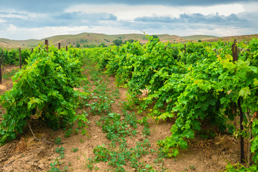 Similar image 22274240