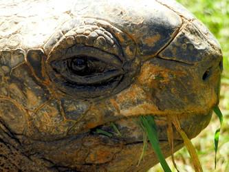 Similar image 22273860