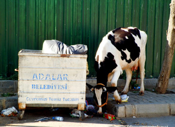 Similar image 22273861