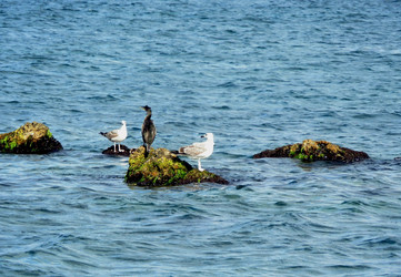 Similar image 22273881