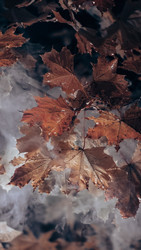 Similar image 22279805