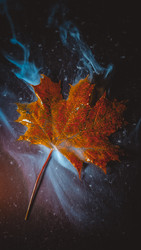 Similar image 22279806