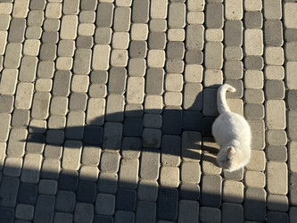 Similar image 22289121