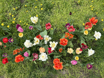 Similar image 22289122