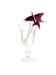 Similar image 22273610