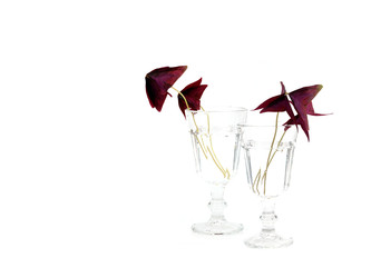 Similar image 22273611