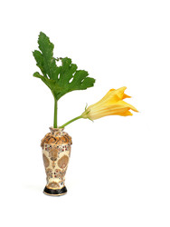 Similar image 22273625