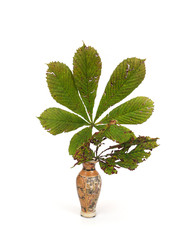 Similar image 22273628