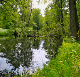 Similar image 22273634