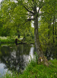 Similar image 22273635