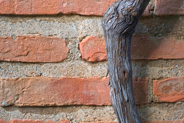 Similar image 22273639