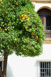 Similar image 22273640