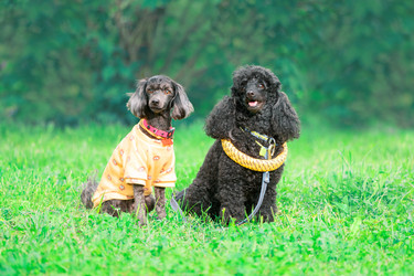 Similar image 22279749