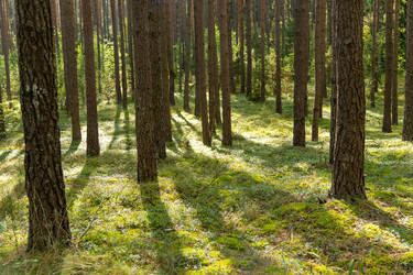 Similar image 22274022