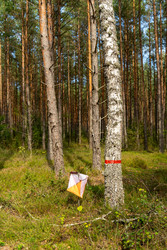 Similar image 22274024