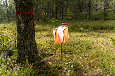 Similar image 22274026