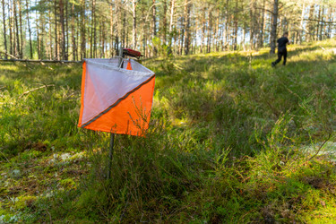 Similar image 22274030