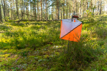 Similar image 22274031