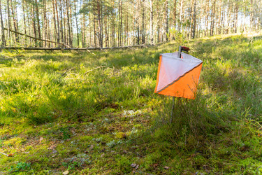 Similar image 22274033