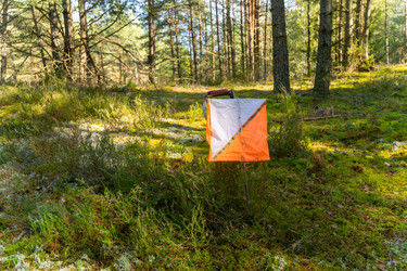 Similar image 22274034