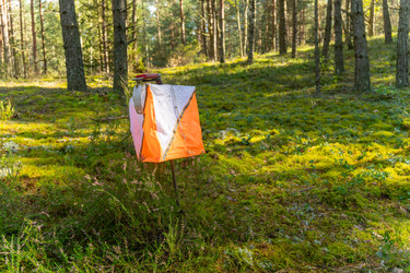 Similar image 22274035