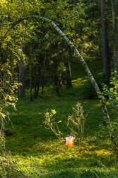 Similar image 22274038