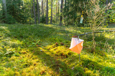 Similar image 22274039