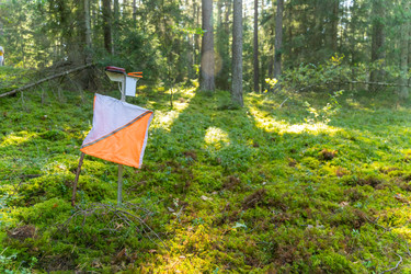 Similar image 22274040