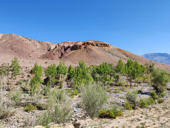 Similar image 22273946