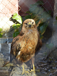 Similar image 22273961