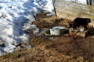 Similar image 22274053