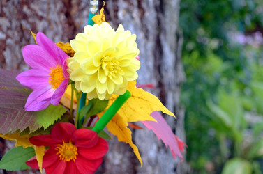 Similar image 22274054