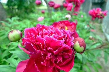 Similar image 22274056