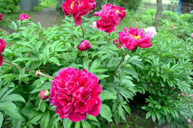 Similar image 22274057