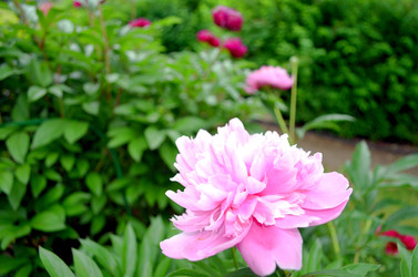 Similar image 22274058