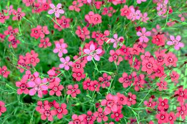 Similar image 22274059