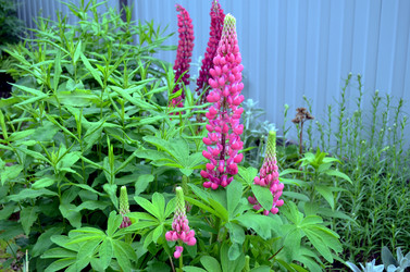 Similar image 22274060