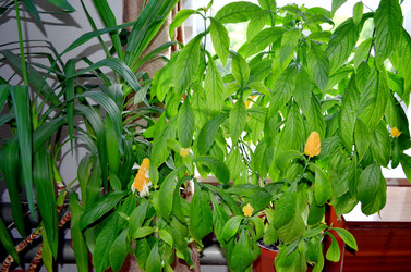 Similar image 22274063