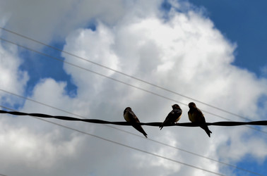 Similar image 22274064