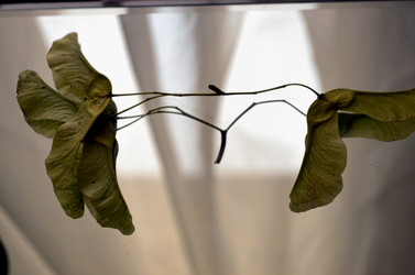 Similar image 22274066