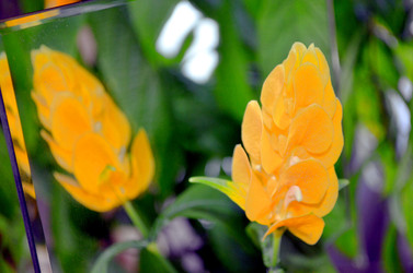 Similar image 22274067