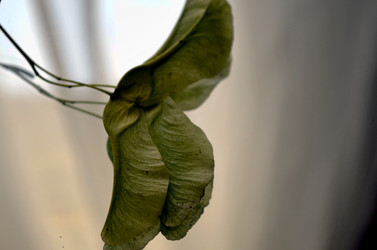 Similar image 22274068