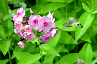 Similar image 22274070