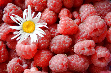 Similar image 22274071