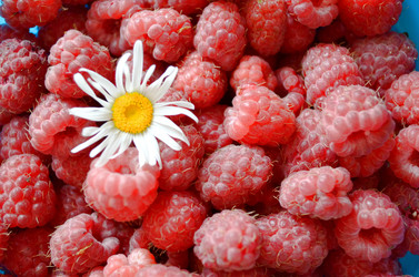 Similar image 22274072