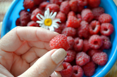 Similar image 22274074