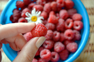 Similar image 22274075