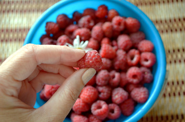 Similar image 22274076