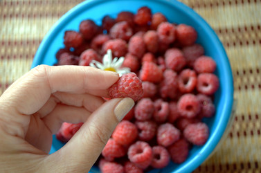 Similar image 22274077